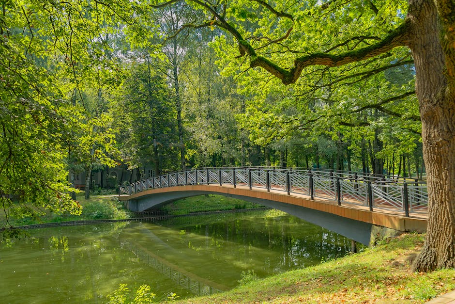 A detailed view of a wooden pedestrian bridge with black metal railings spanning over a calm, greenish river in Wandsworth Park, surrounded by lush trees with bright green leaves. Sunlight filters through the canopy, illuminating the pathway and reflecting on the water's surface. The scene depicts a serene outdoor environment characterized by clean, well-maintained surfaces, and vibrant natural foliage, emphasizing the importance of regular maintenance and cleanliness in outdoor public spaces, as provided by Putney Cleaners' riverside cleaning services.