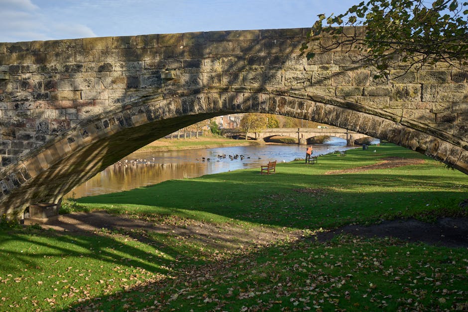 A scenic riverside view showing an old stone bridge arching over a calm river, with a grassy park area beneath it. The surface of the stone bridge is weathered, with some moss and lichen growth. Sunlight casts shadows of nearby trees onto the lush green grass and the paved pathway below, where a few benches are placed for visitors. A person is seen standing near the water's edge, and a flock of ducks is swimming in the river. The area appears well-maintained and clean, reflecting effective surface cleaning and outdoor hygiene, consistent with the services offered by Putney Cleaners for maintaining public and residential spaces along riverside areas.